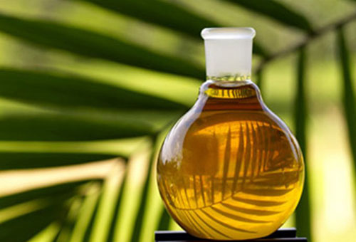 Несколько слов в защиту пальмового масла